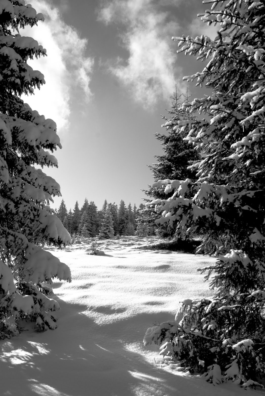 [DSC_0070.jpg]