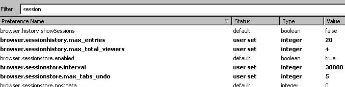[firefox_about_config_session_optimize.JPG]