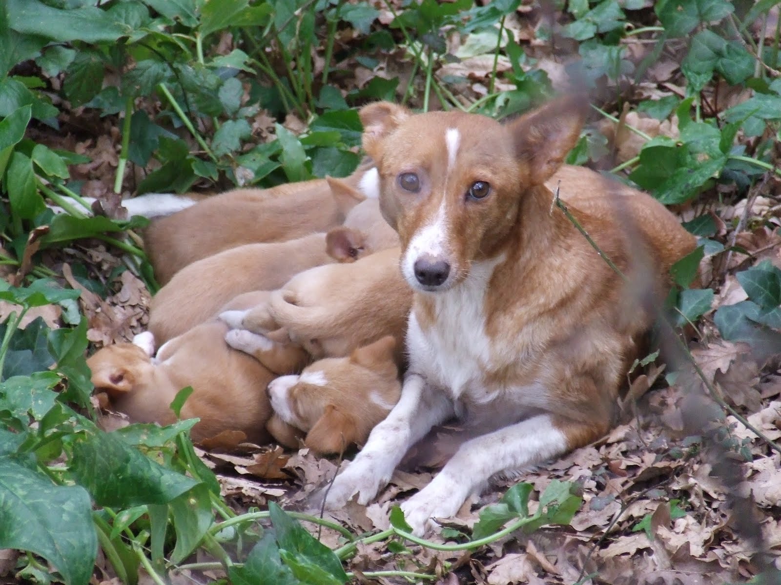 [2010_02070068.JPG]