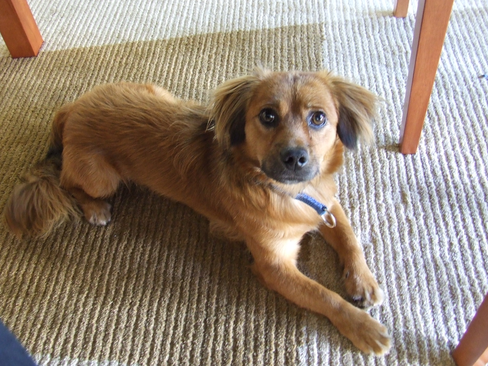 [2008_08270021.JPG]