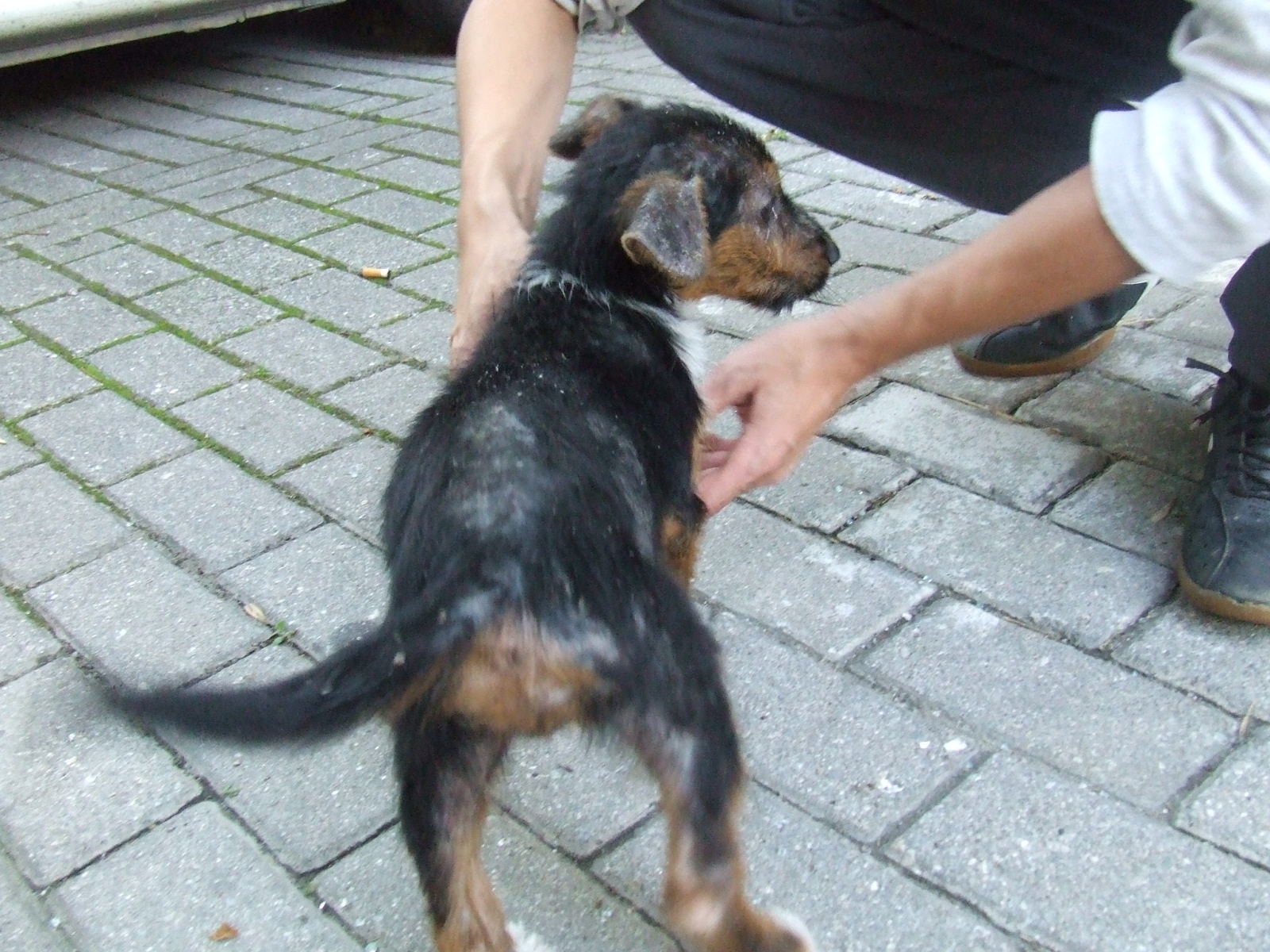 [2008_09190138.JPG]