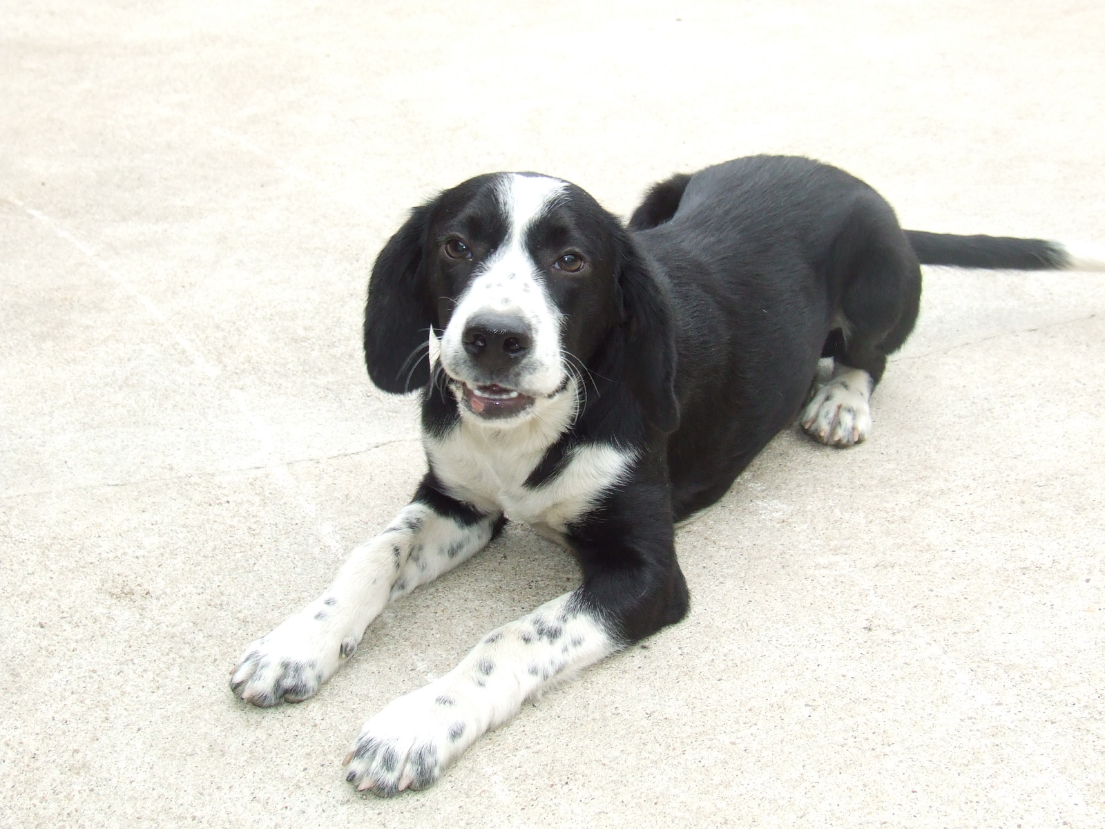 [2008_09200082.JPG]