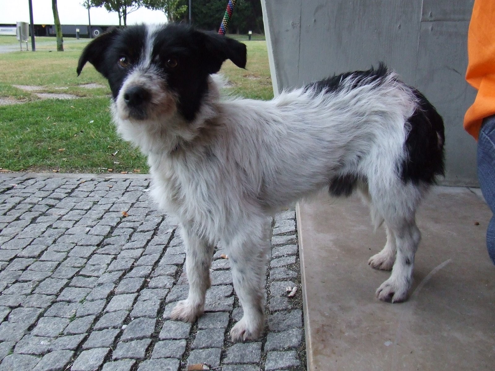 [2009_01250073.JPG]