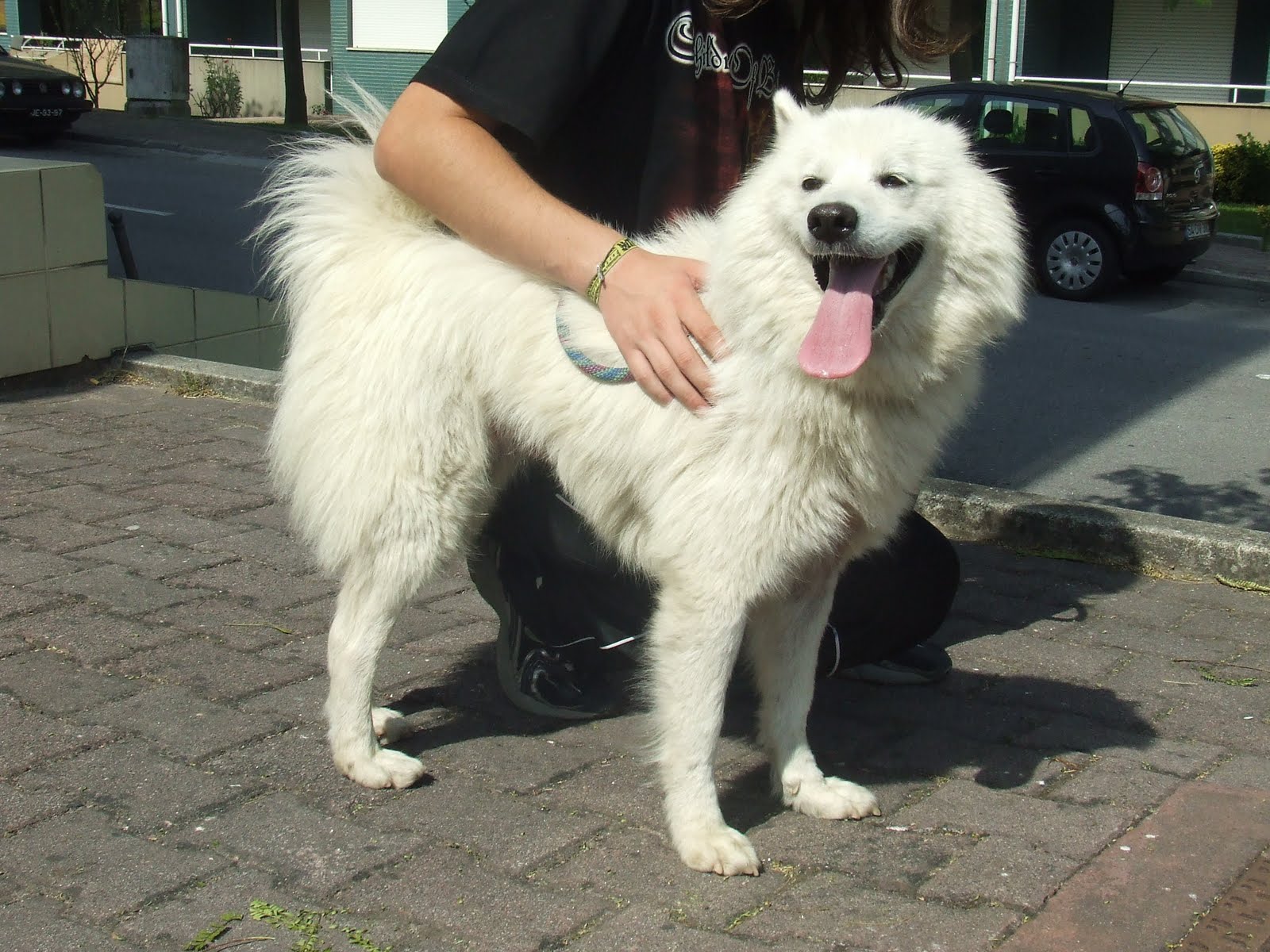 [2009_09100032.JPG]