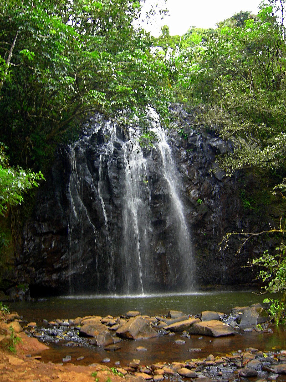 [DSCN4147.JPG]