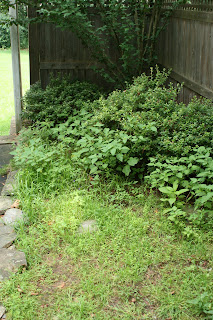 Mulch Pre and Post