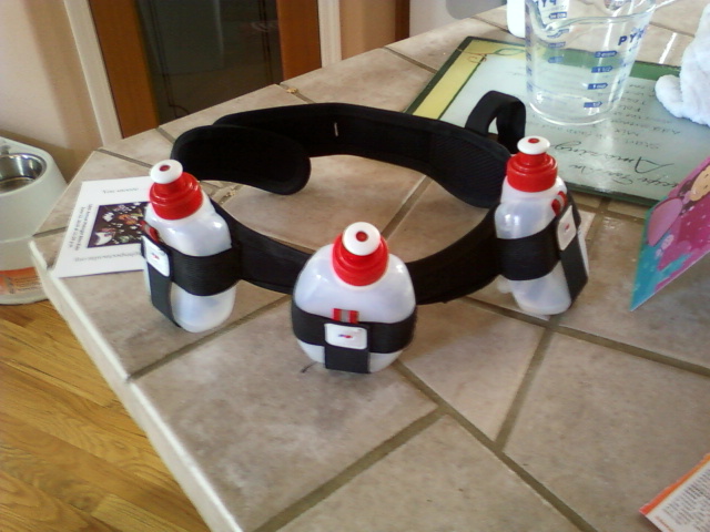 [fuelbelt.jpg]