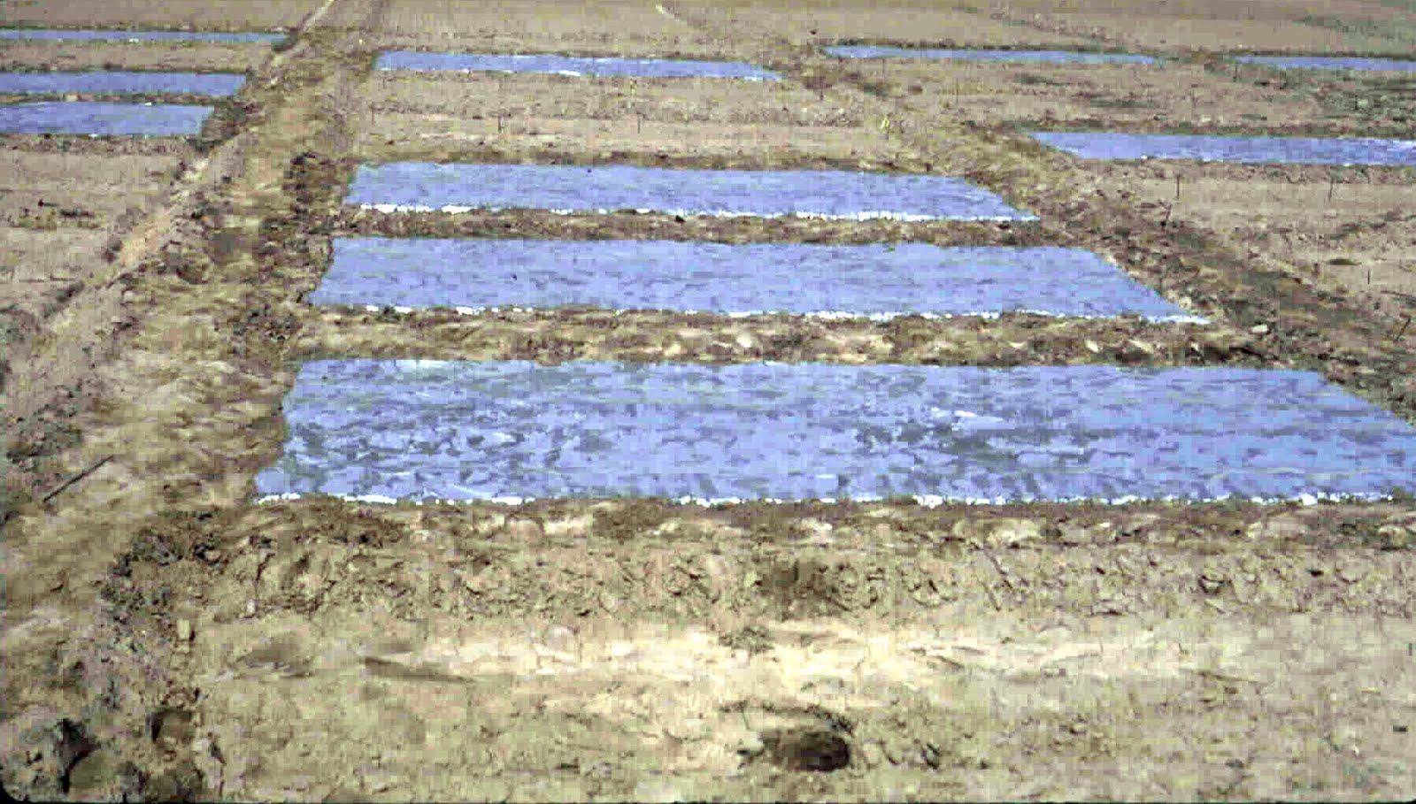 Soil Solarization Concept and Benefits