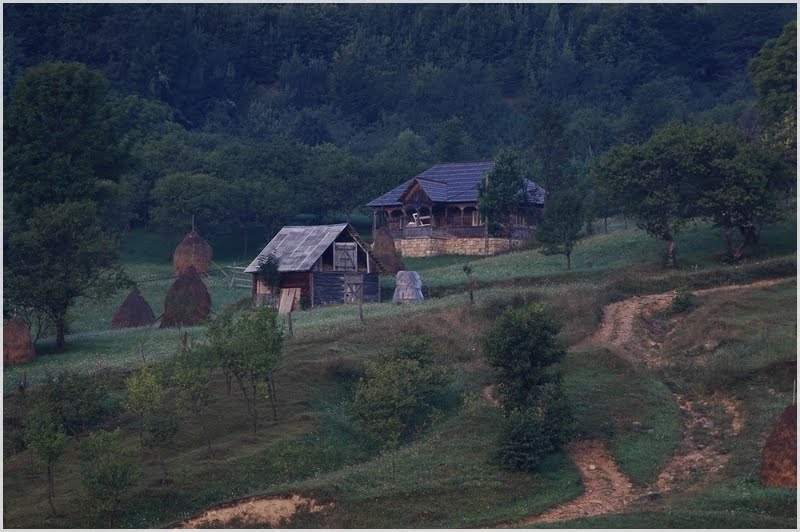[DSC_6212.JPG]