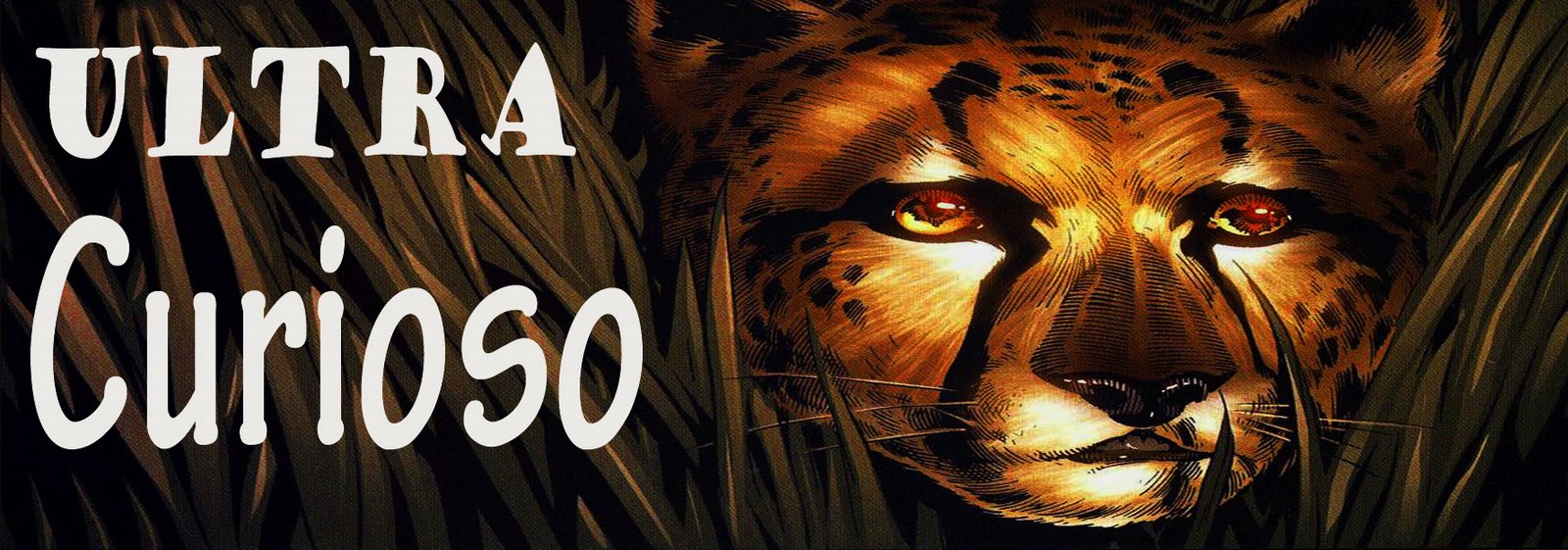 Ultra Curioso