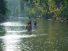 Menjaring ikan 3