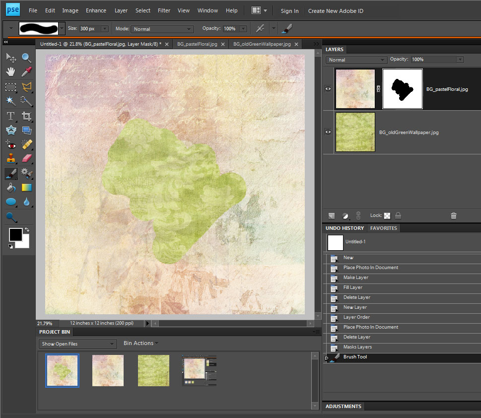 ...in a dry and thirsty land... Layer Masks in Elements
