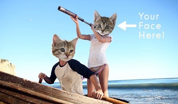 anthropomorphic cats