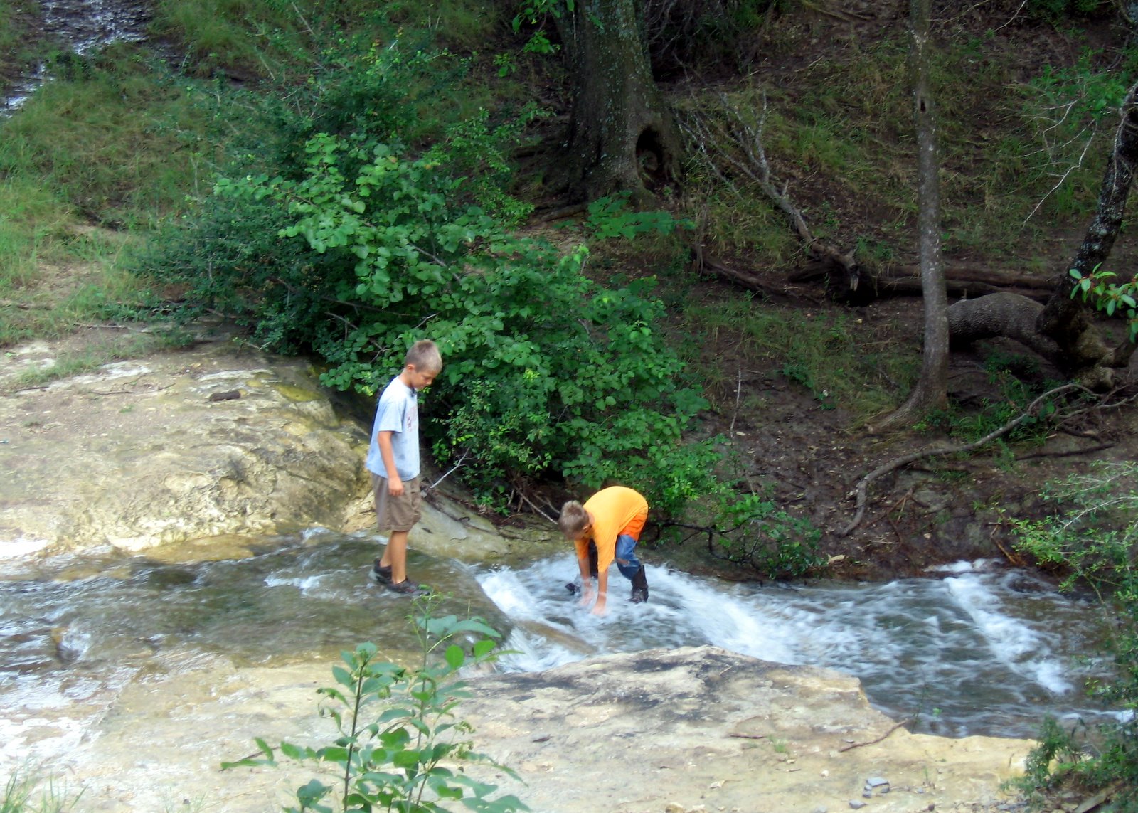 [IMG_3958.jpg]