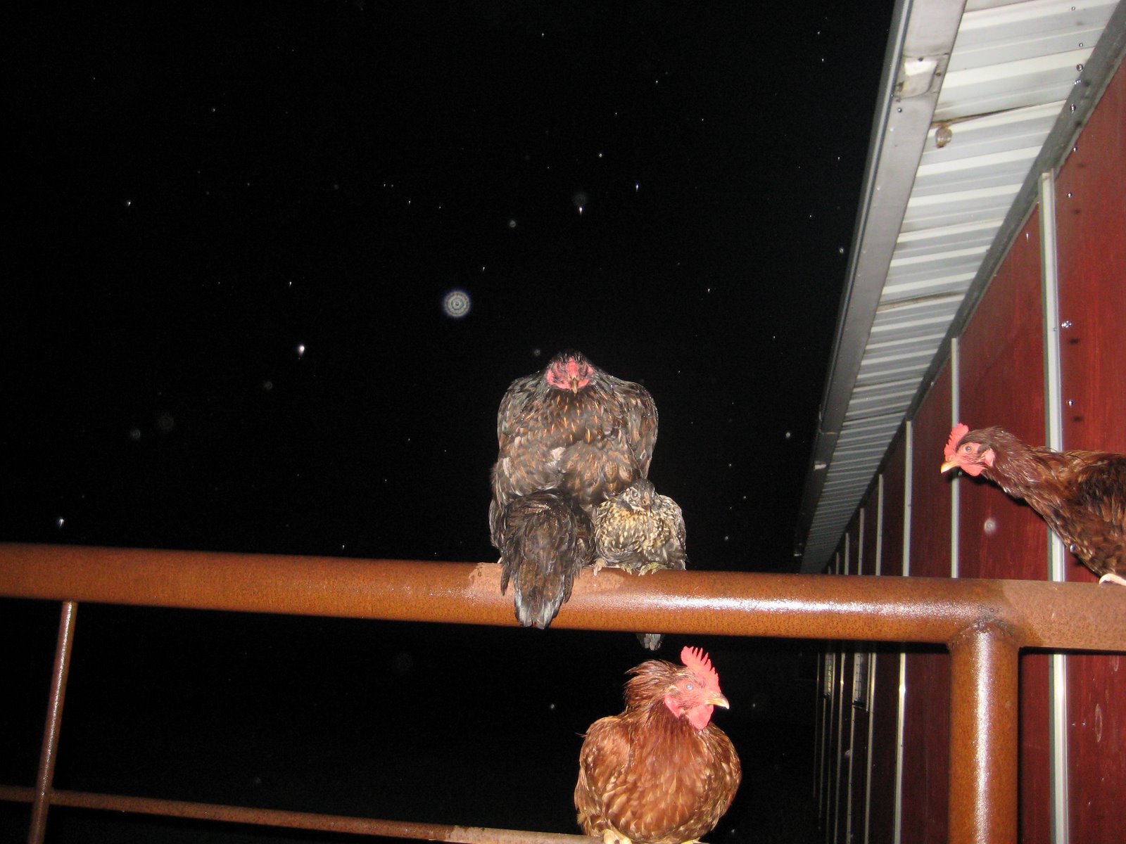 [IMG_1112-783762.JPG]