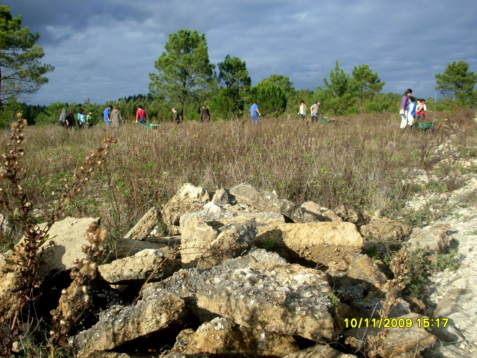 [SDC13721.JPG]