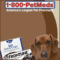 PRODUCTS FOR PET SYMPTOMS