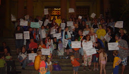 Save Mayfield Pool comes to Newcastle City Council