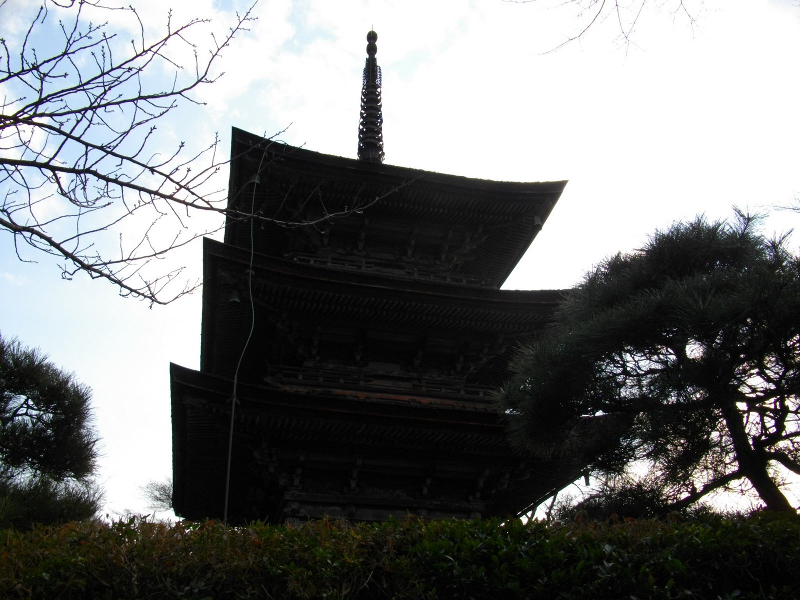 [IMGP0916.JPG]