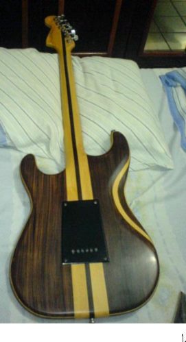 [Giannini+AE08S+1+4.jpg]