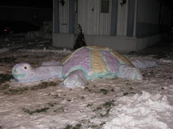 [snow+turtle.jpg]