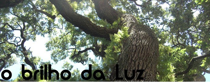 o brilho da luz