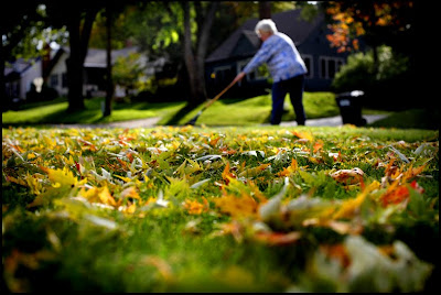 [Fall+Weather+Art#72173.jpg]