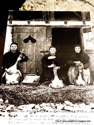 Duck feeding in the old days