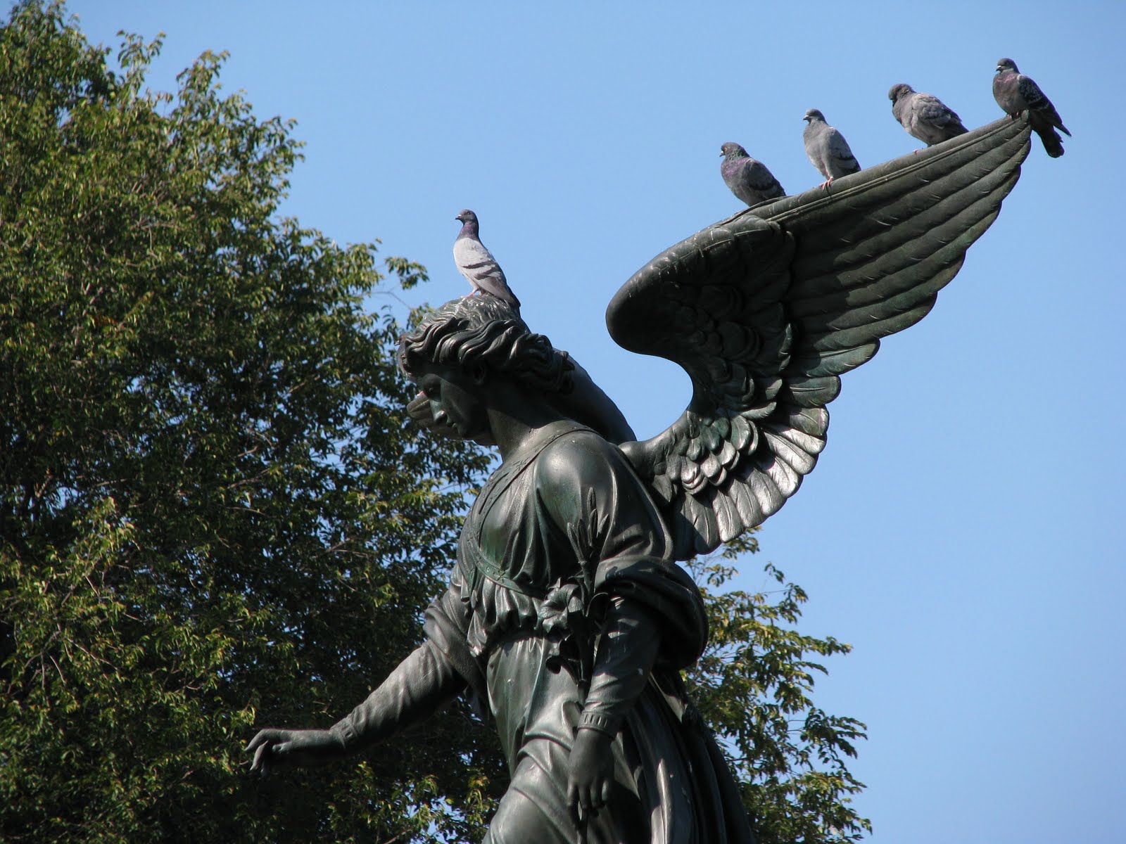 nous nous sommes rencontrées