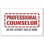 My Proffesion as Counselor