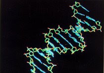 [dna.jpg]