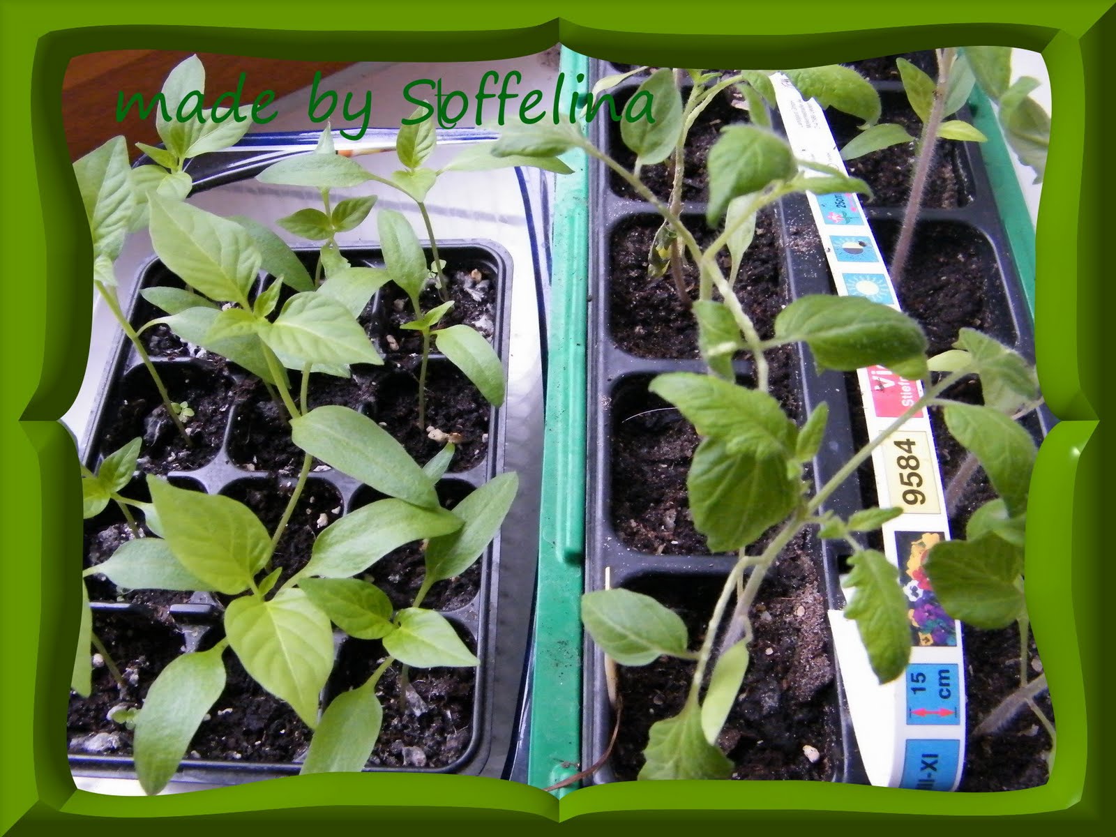 Stoffelina: März 2010