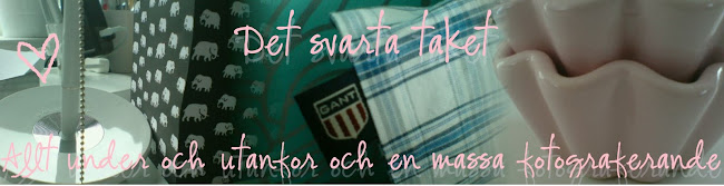 Det svarta taket ♥♥