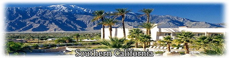 Bankruptcy Information