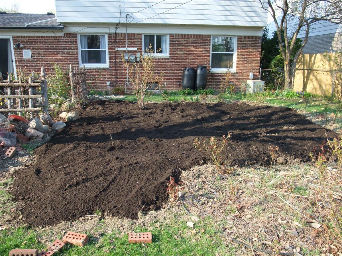 Dirt in the Driveway