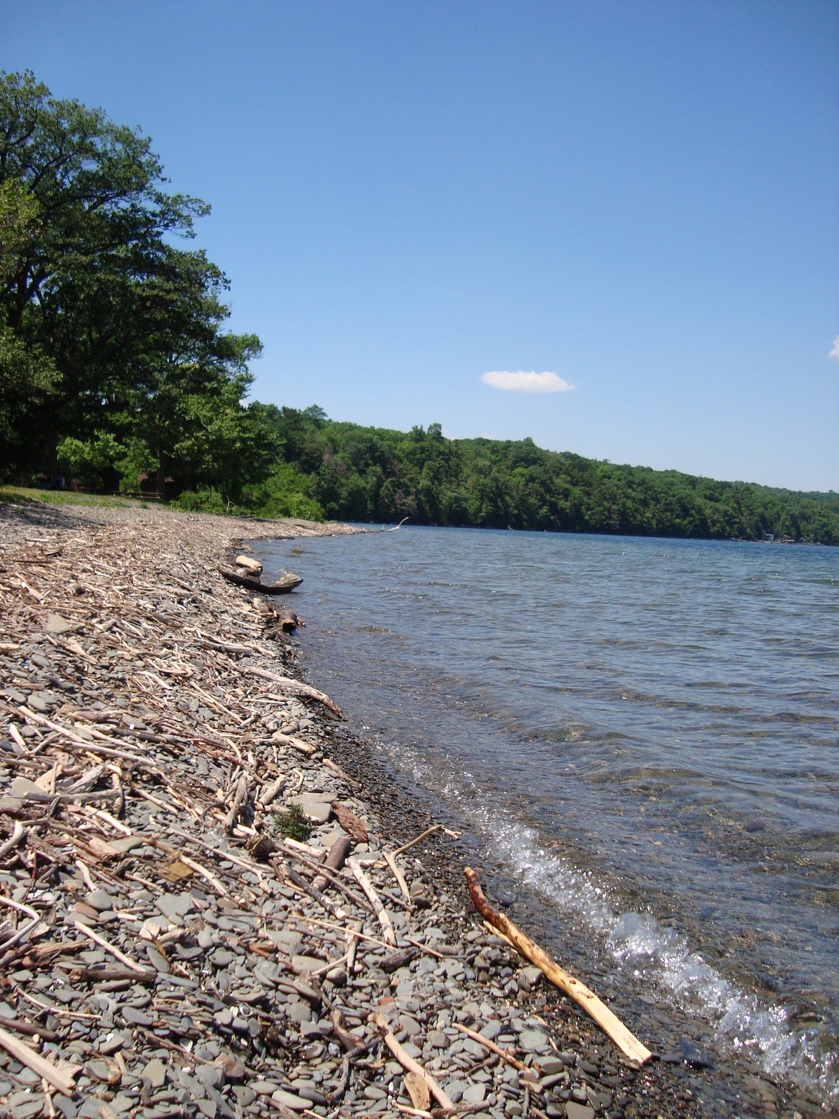 [DSC01794.JPG]