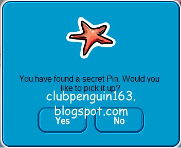 [Starfish+Pin+2.jpg]