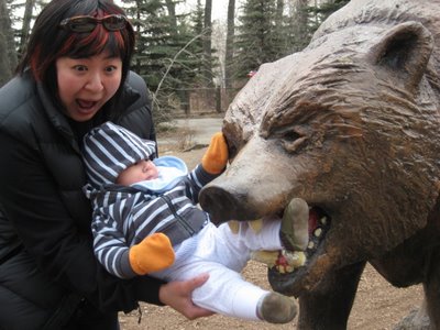 [zoo_bear_attack_0213.jpg]