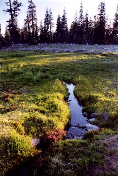 Lower Panther Meadow