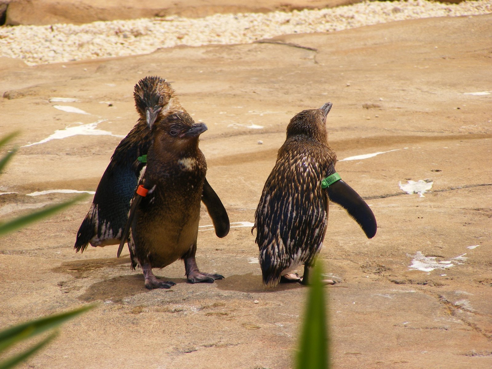 [DSCF3950.JPG]