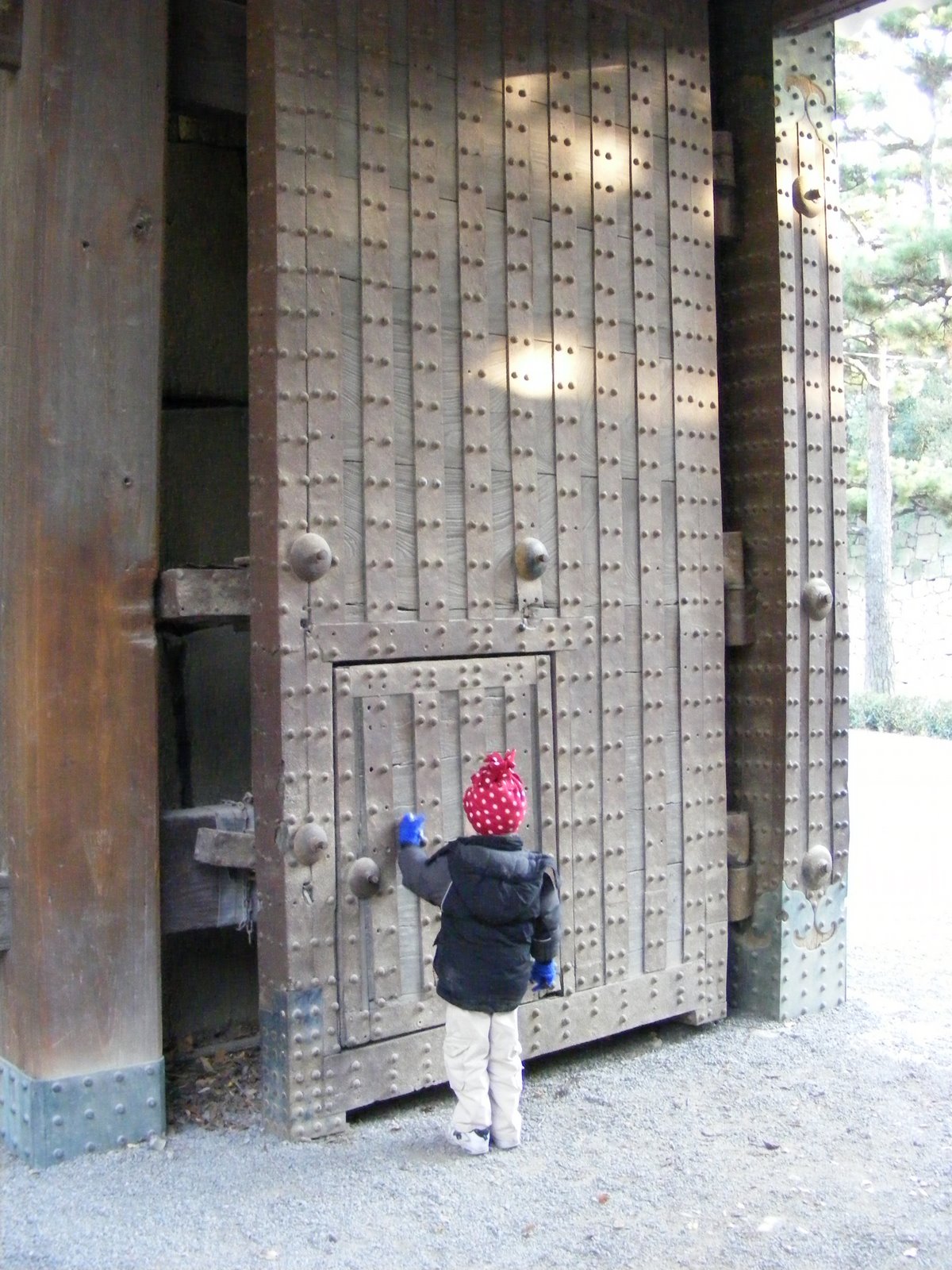 [DSCF1680.JPG]