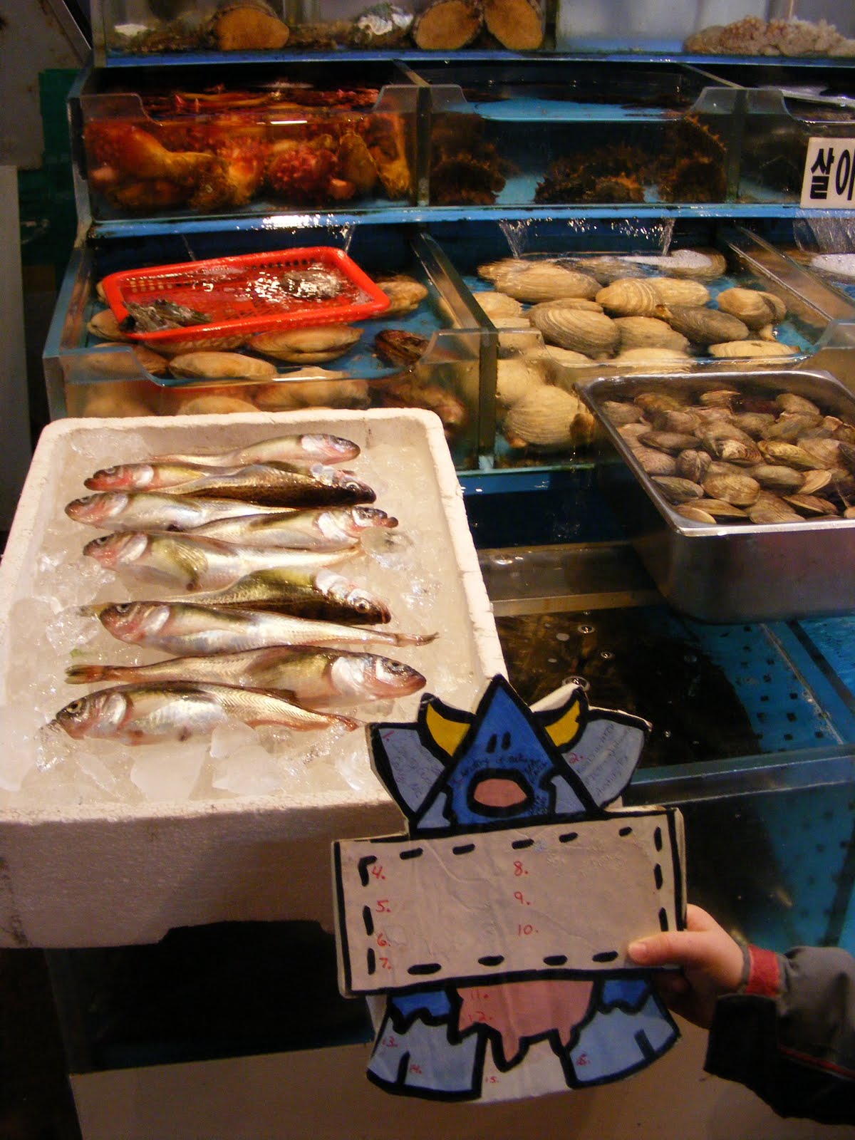 [critterfish.JPG]