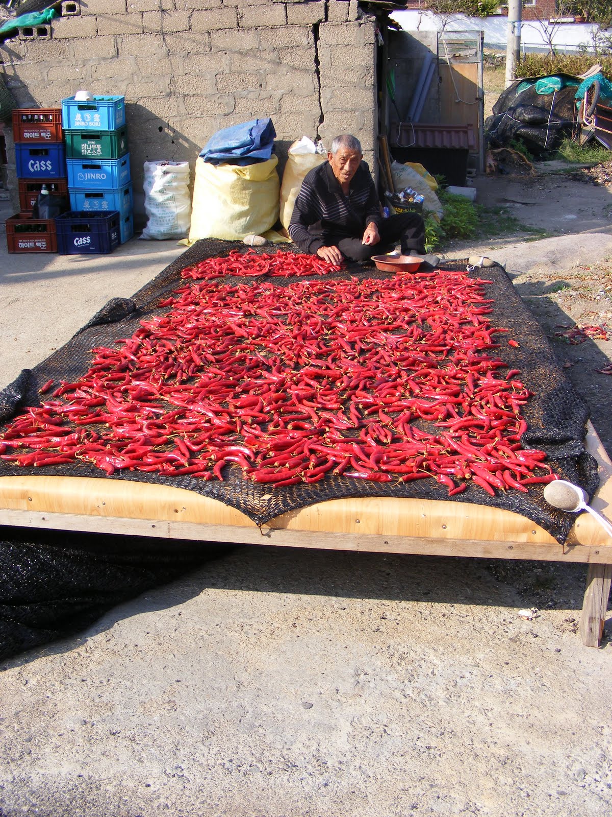 [DSCF6228.JPG]