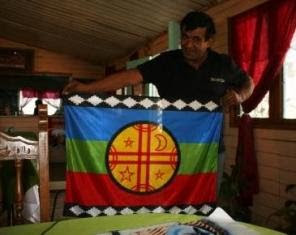 Trucker with Mapuche flag