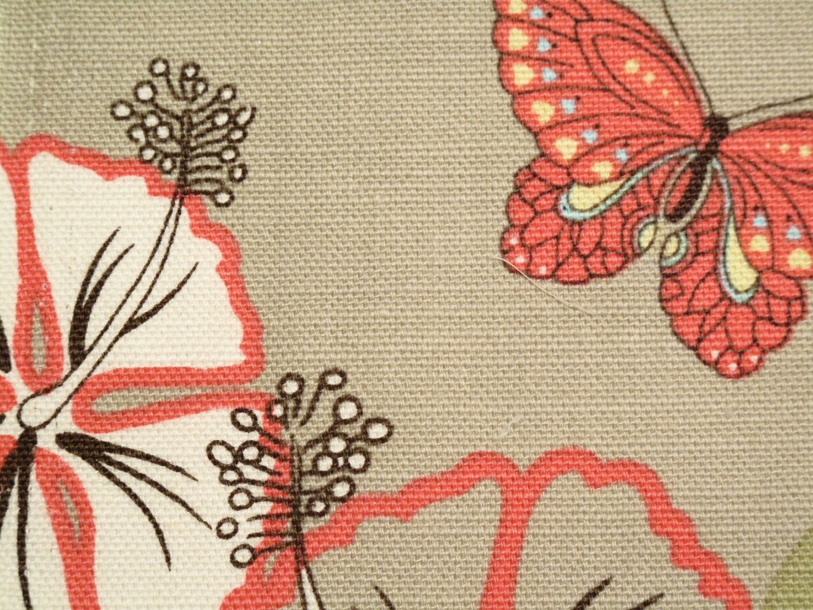 [Fabric+6.JPG]