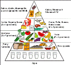 Pirámide alimenticia