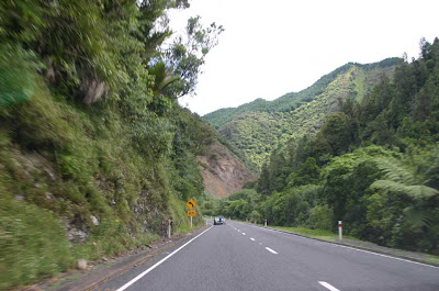 Awakino Gorge