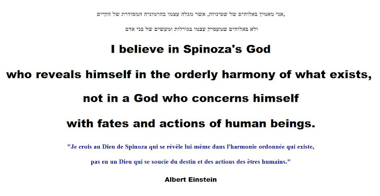 I believe in Spinoza's God