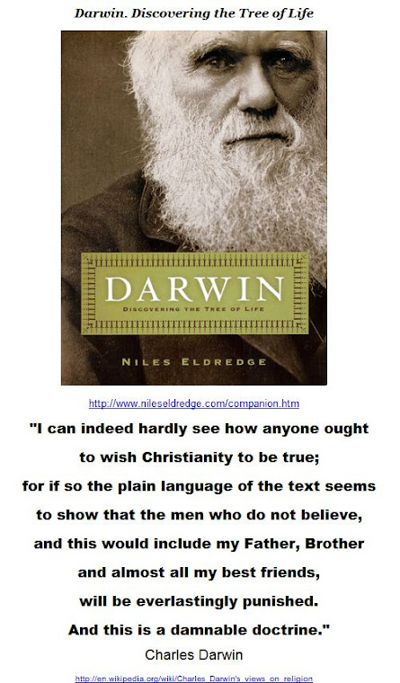 I can indeed hardly see how anyone ought to wish Christianity to be true
