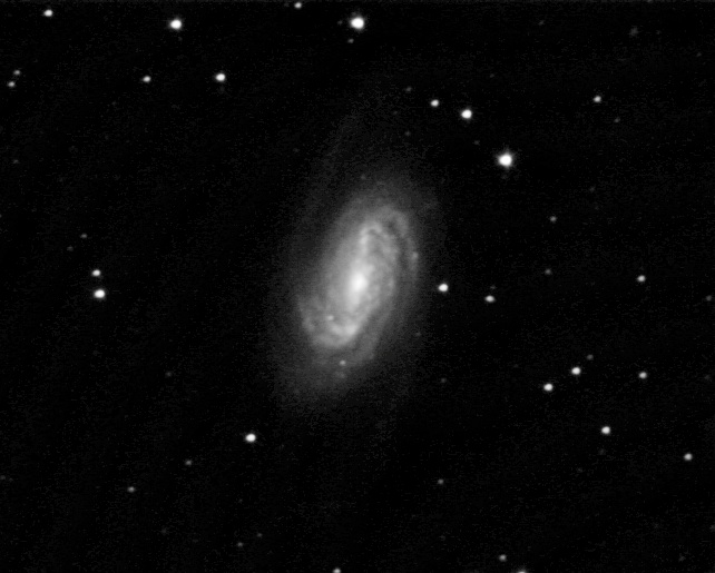 [NGC2903-03292008-1NPXproc1.jpg]